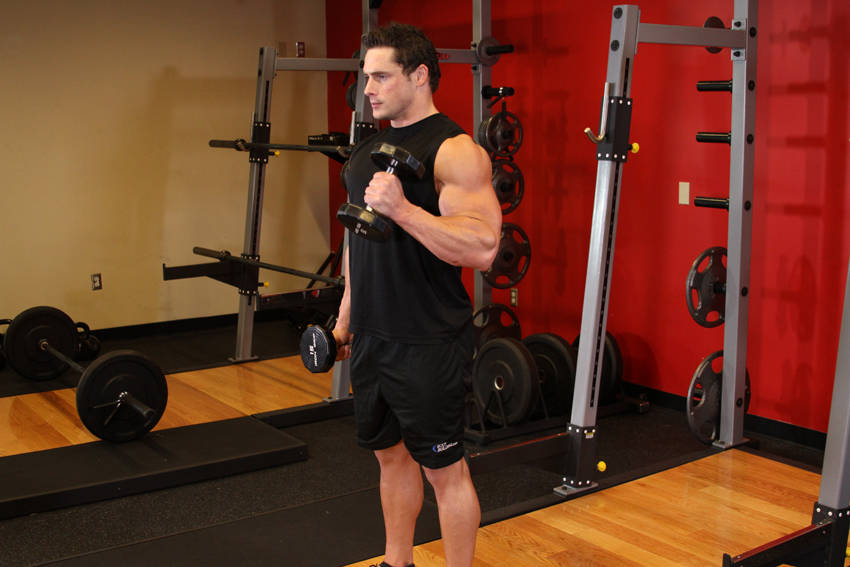 Alternate Hammer Curl — End position
