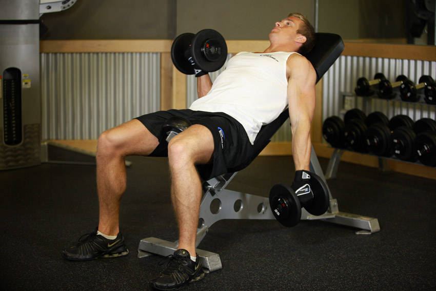 Alternate Incline Dumbbell Curl — End position