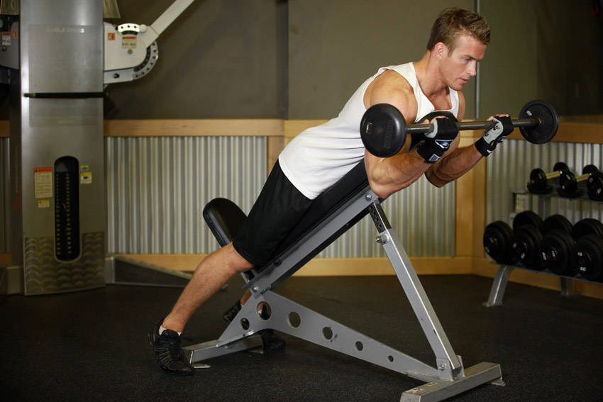 Barbell Curls Lying Against An Incline — End position