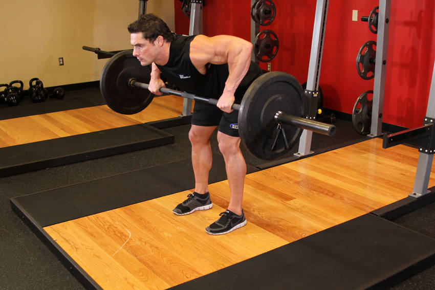 Barbell Rear Delt Row — End position