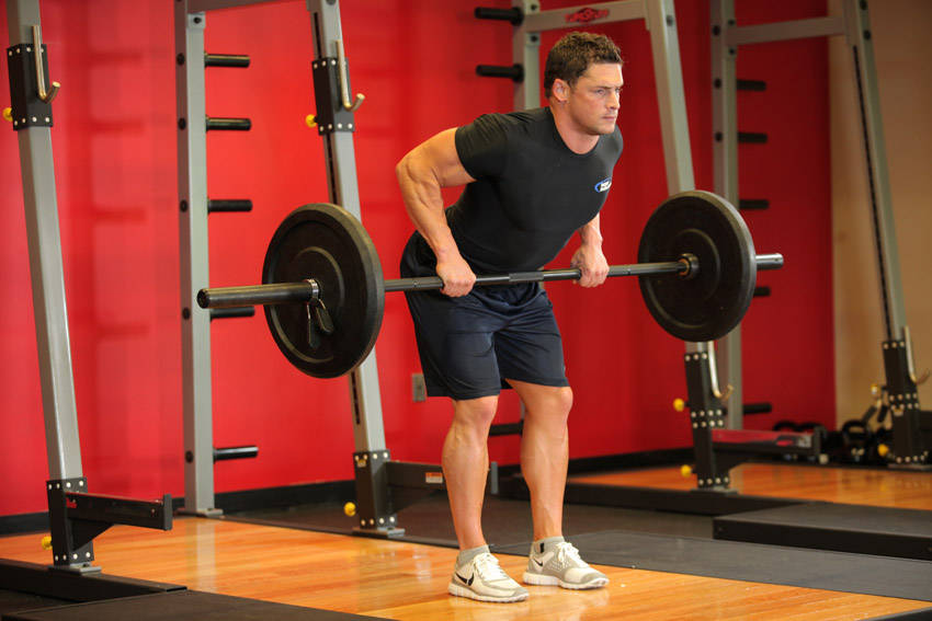 Bent Over Barbell Row — End position