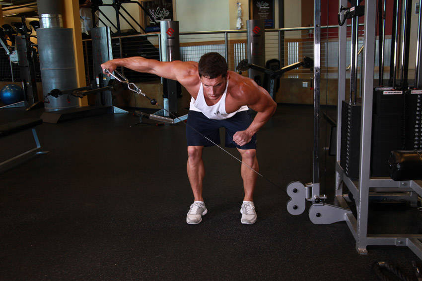 Bent Over Low-Pulley Side Lateral — End position
