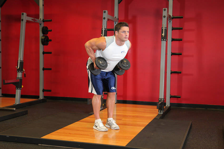 Bent Over Two-Dumbbell Row With Palms In — End position