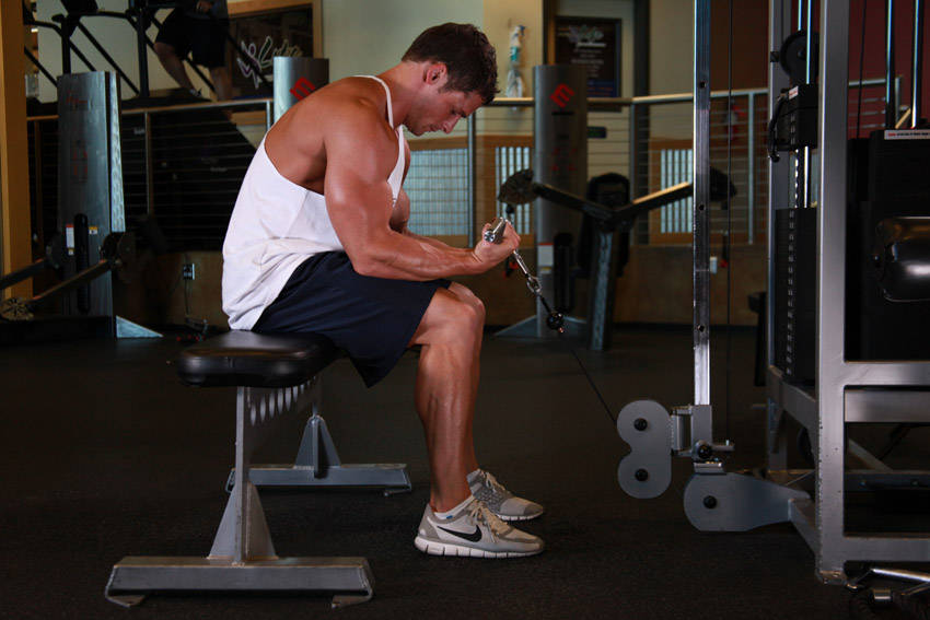 Cable Wrist Curl — End position
