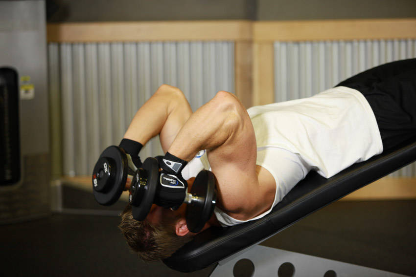 Decline Dumbbell Triceps Extension — End position