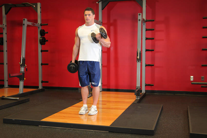 Dumbbell Alternate Bicep Curl — End position