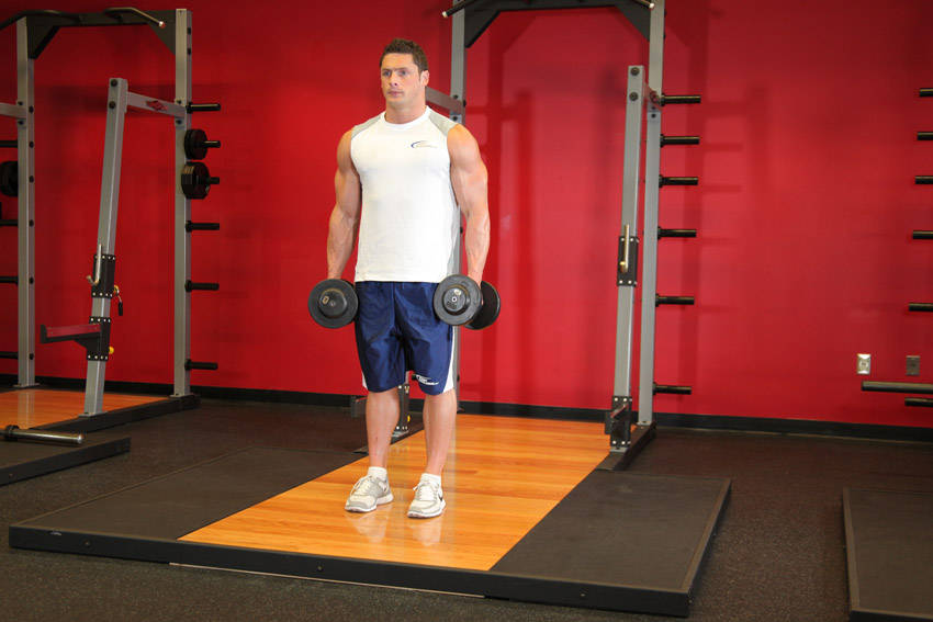 Dumbbell Curls