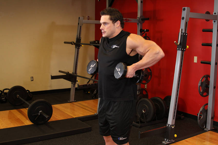 Dumbbell Raise — End position