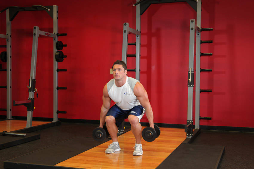 Dumbbell Squat — End position