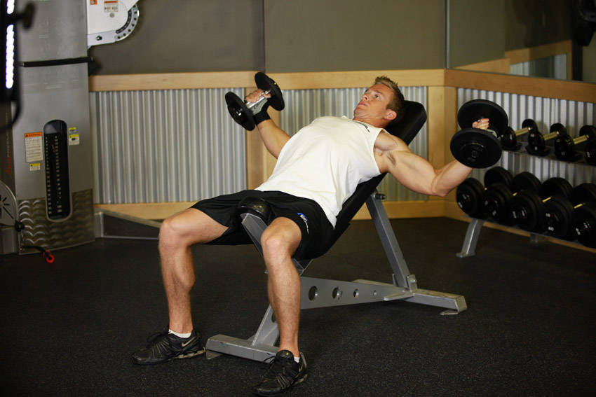 Incline Dumbbell Flyes — End position