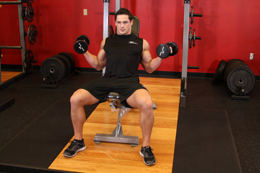 Incline Inner Biceps Curl — End position