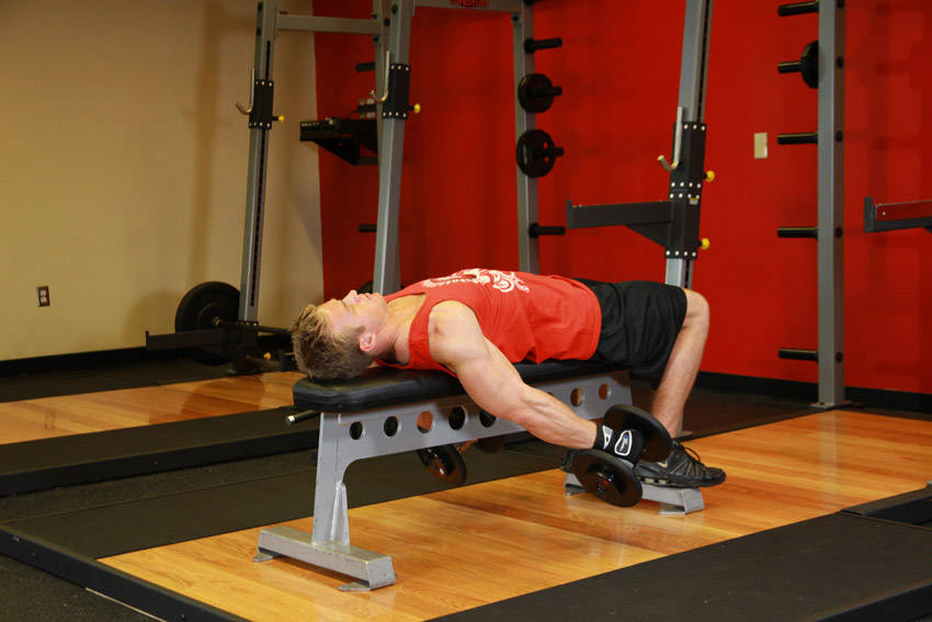 Lying Supine Dumbbell Curl — End position