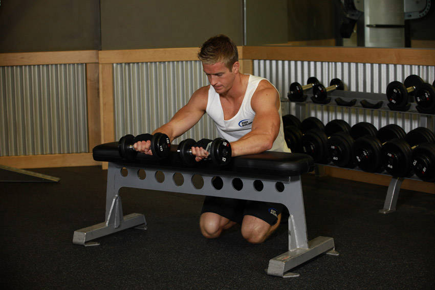 Palms-Down Dumbbell Wrist Curl Over A Bench — End position