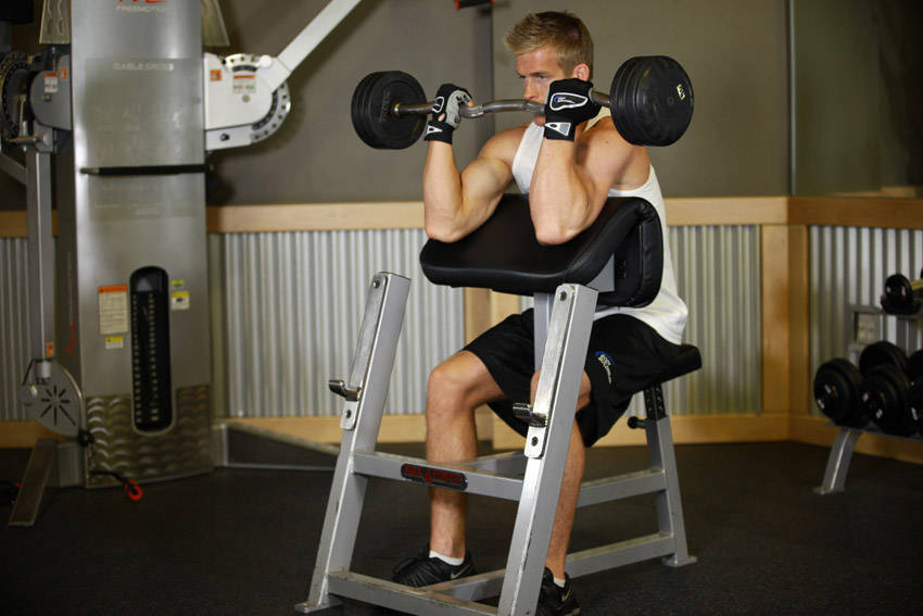 Preacher Curl — End position