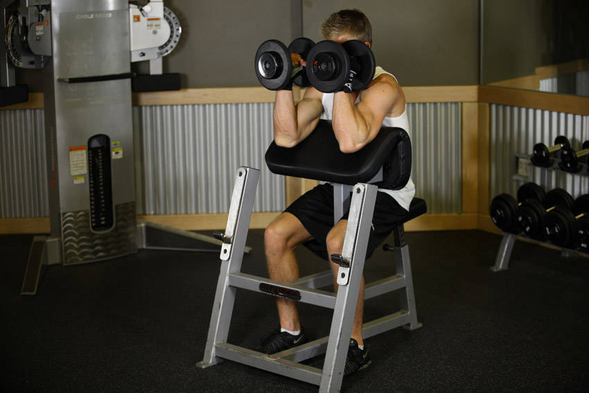 Preacher Hammer Dumbbell Curl — End position