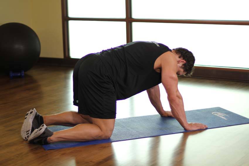 Rear Leg Raises