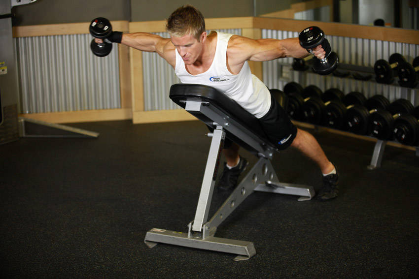 Reverse Flyes With External Rotation — End position