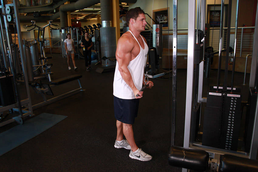 Reverse Grip Triceps Pushdown — End position
