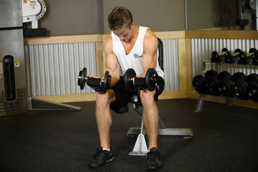 Seated Dumbbell Palms-Up Wrist Curl — End position