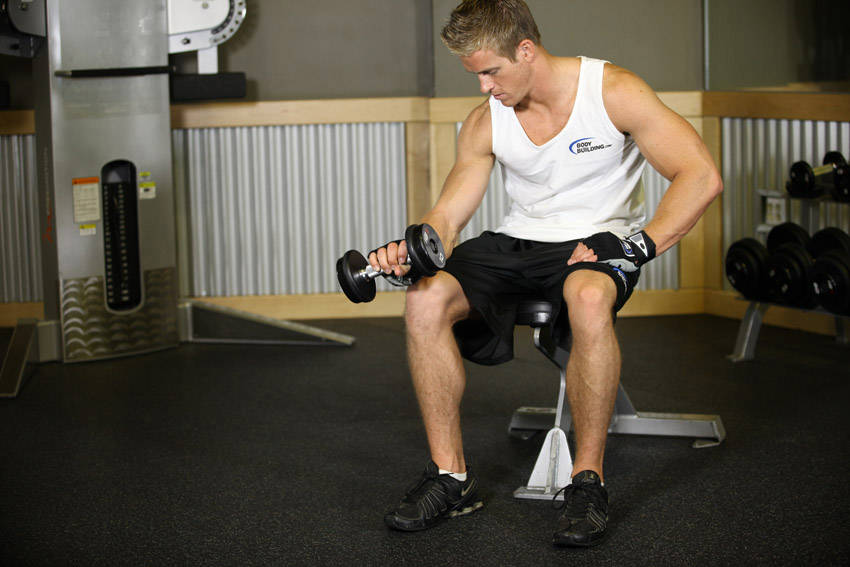 Seated One-Arm Dumbbell Palms-Down Wrist Curl — End position