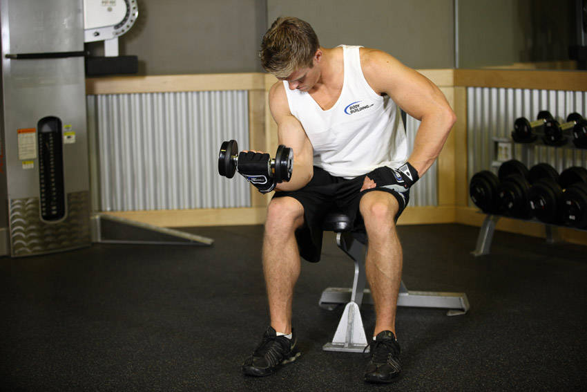 Seated One-Arm Dumbbell Palms-Up Wrist Curl — End position