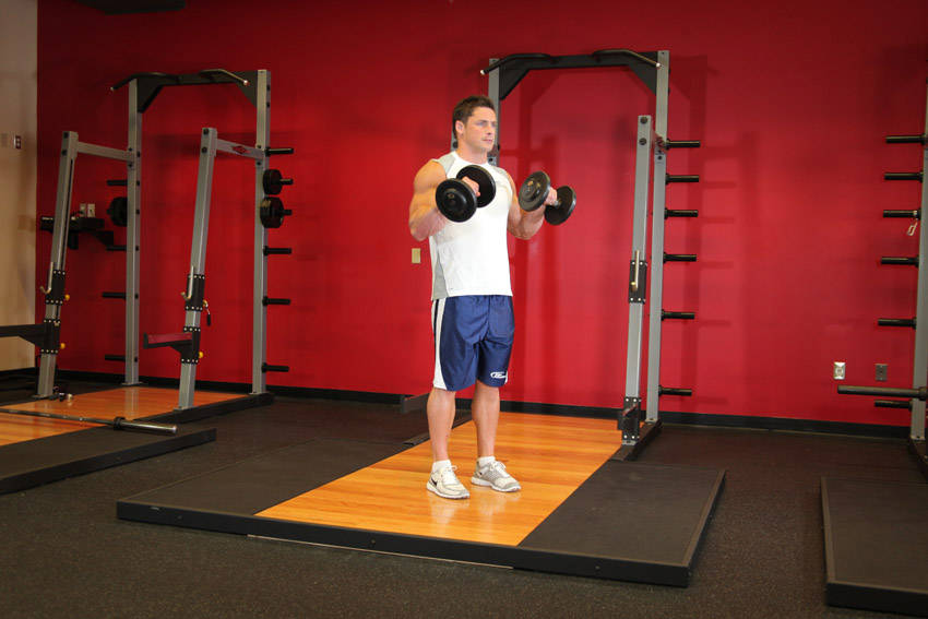 Standing Dumbbell Reverse Curl — End position