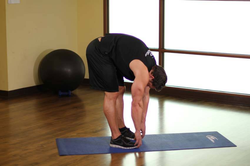Standing Toe Touches — End position