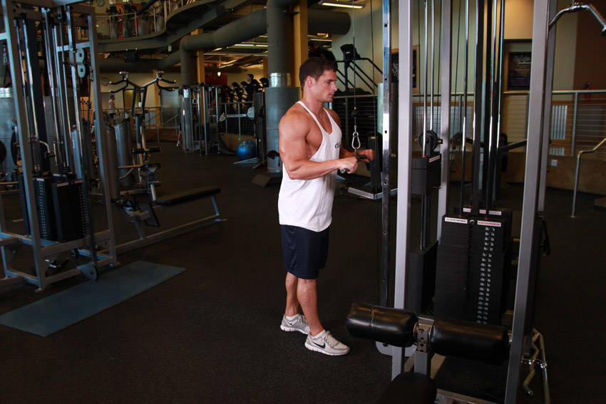 Triceps Pushdown — Starting position