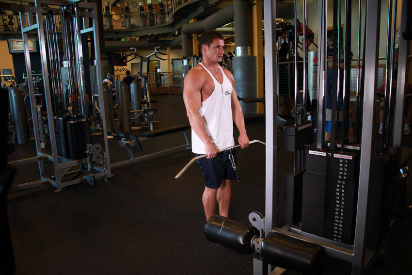 Upright Cable Row — End position